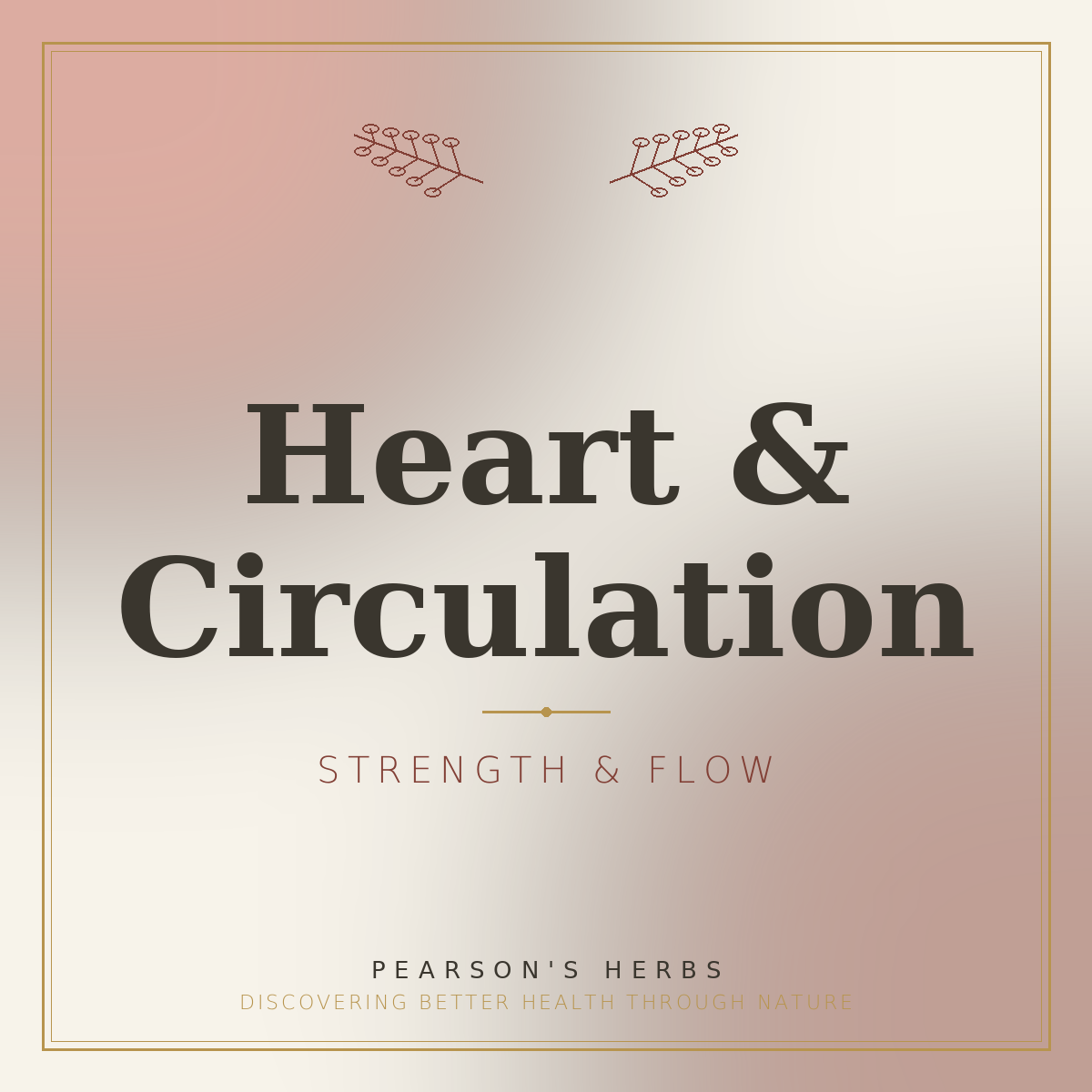 Heart & Circulation