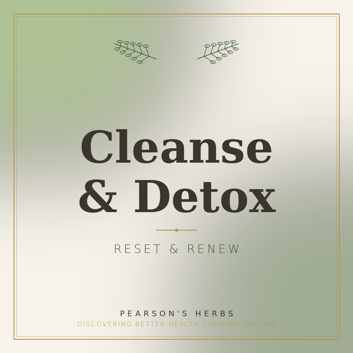 Cleanse & Detox
