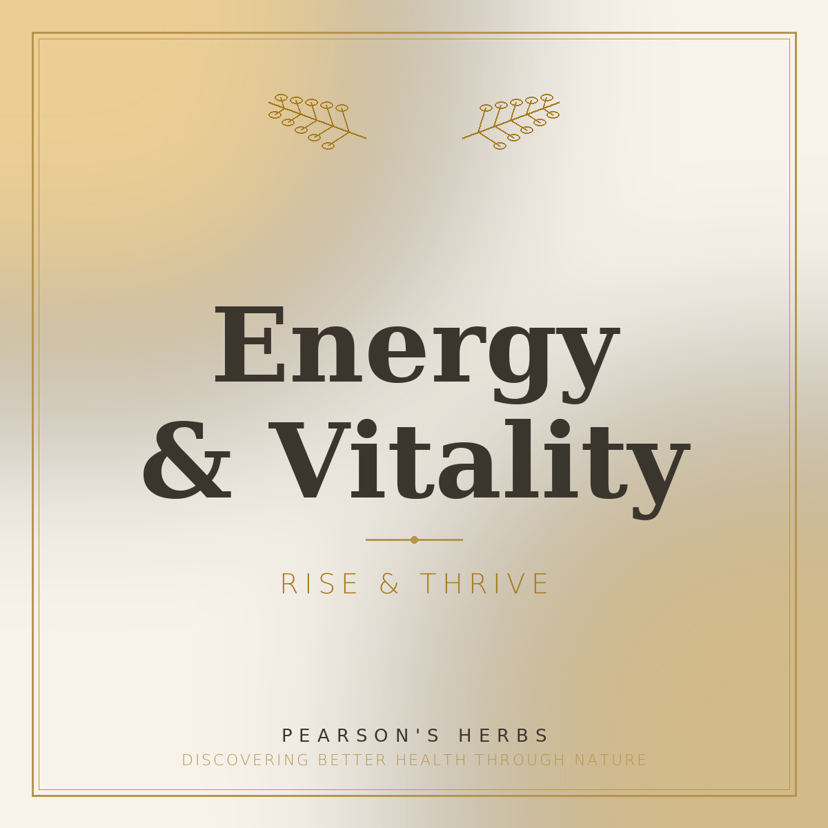 Energy & Vitality